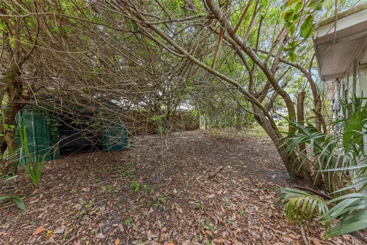 Rear Yard - Reverse View