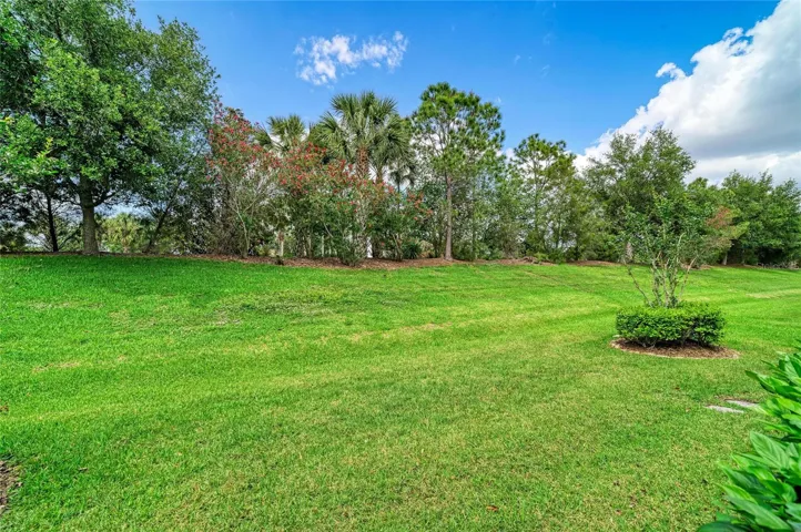REAR VIEW OF LANDSCAPING