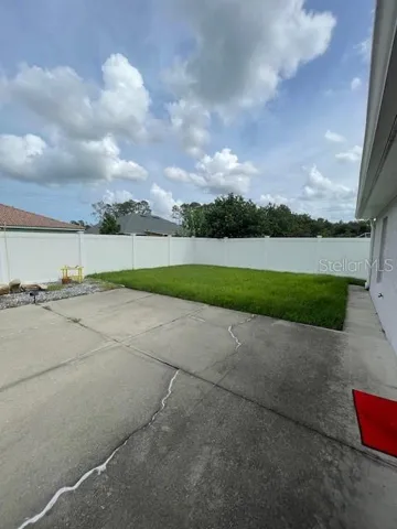 Patio and Lawn