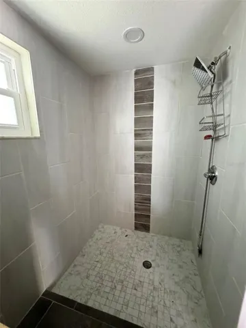 primary bath - shower, no tub