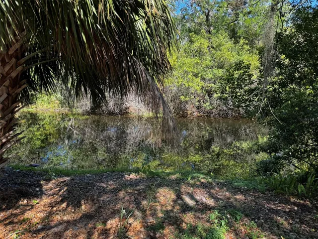 Bear Creek and green belt behind property
