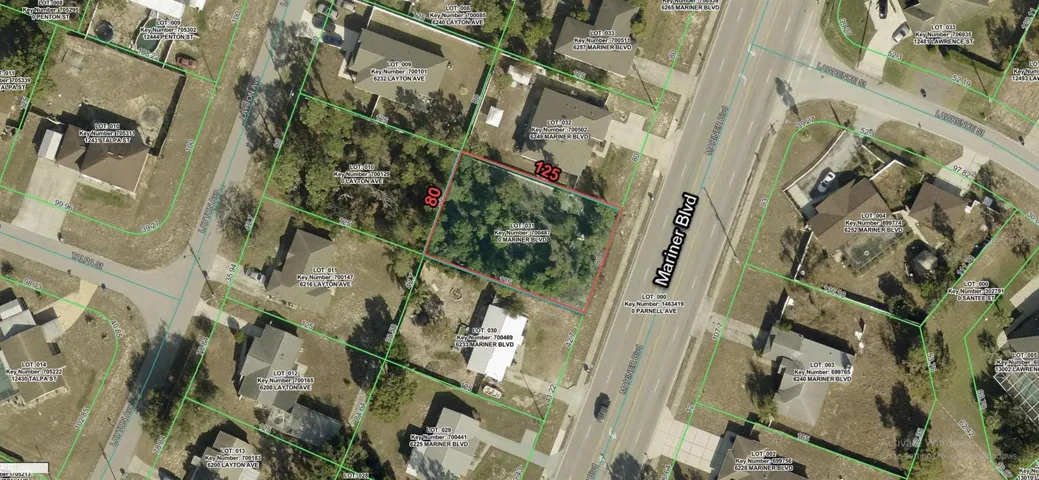 GIS aerial