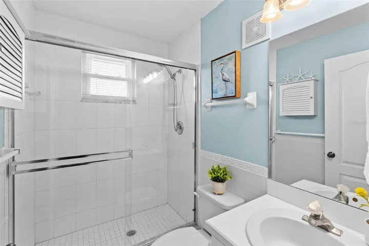 Lower Level Guest Bath