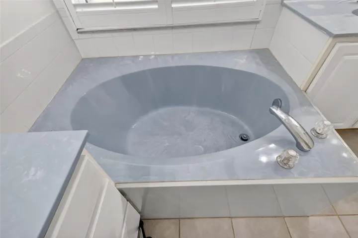 Primary bathroom