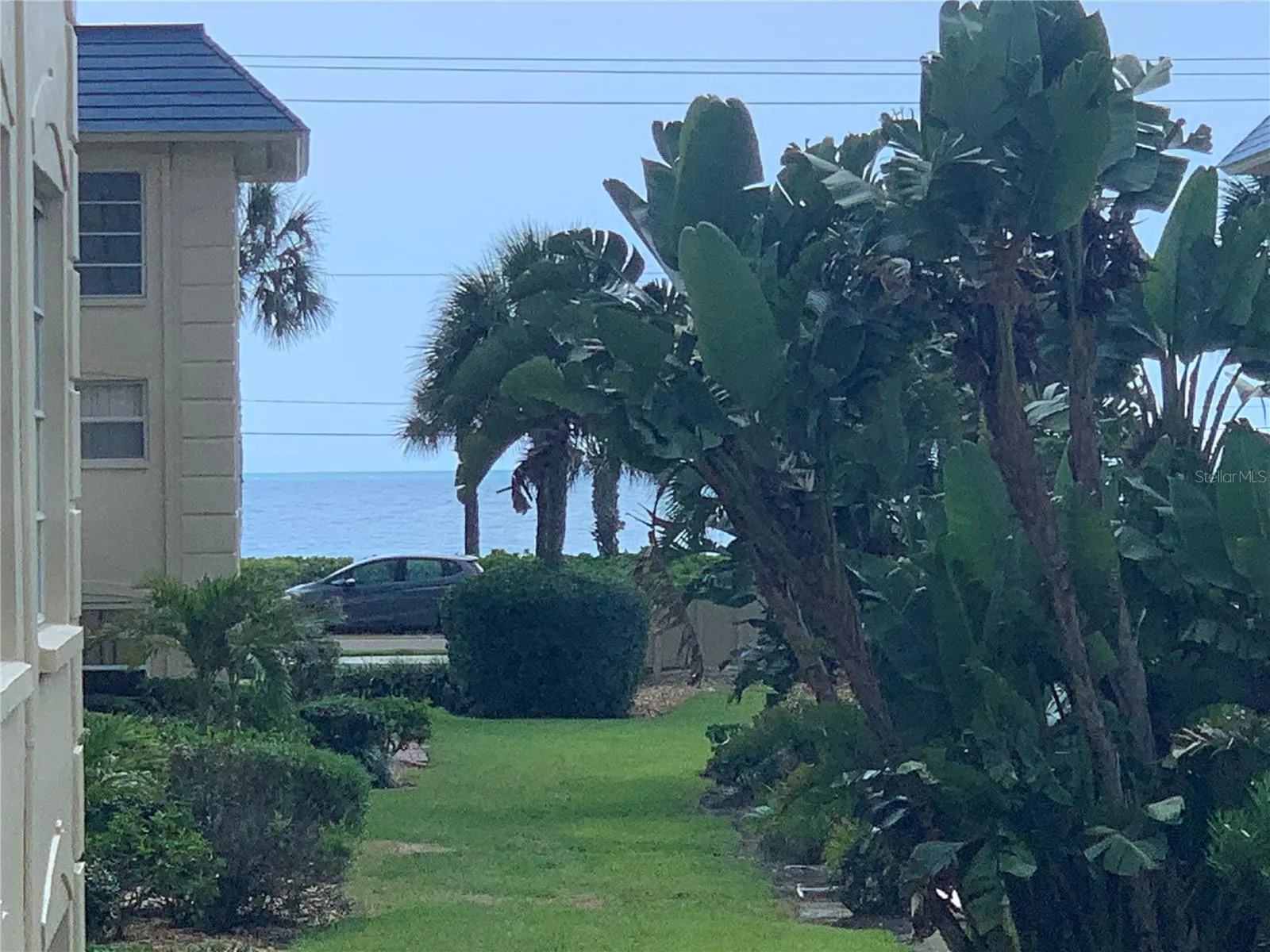 Mature Tropical tropiaries abound