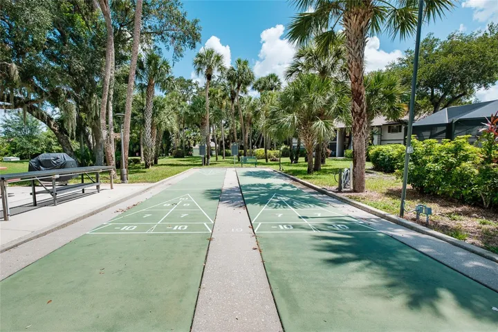 Shuffle Board