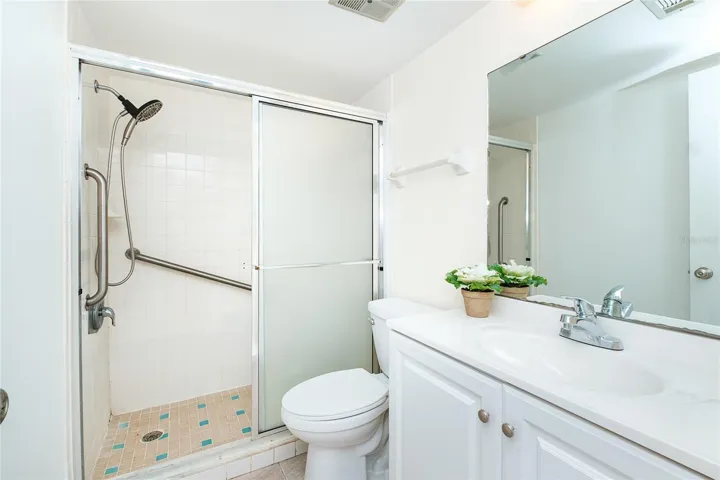 Guest Bathroom with new shower head