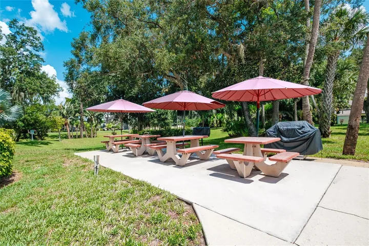 Picnic and BBQ area