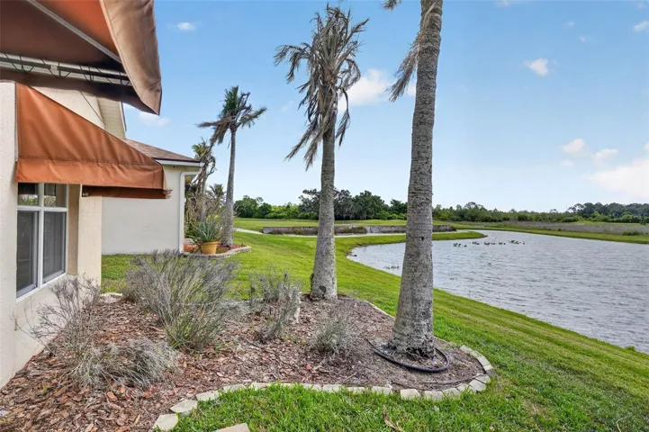 Back yard landscaping