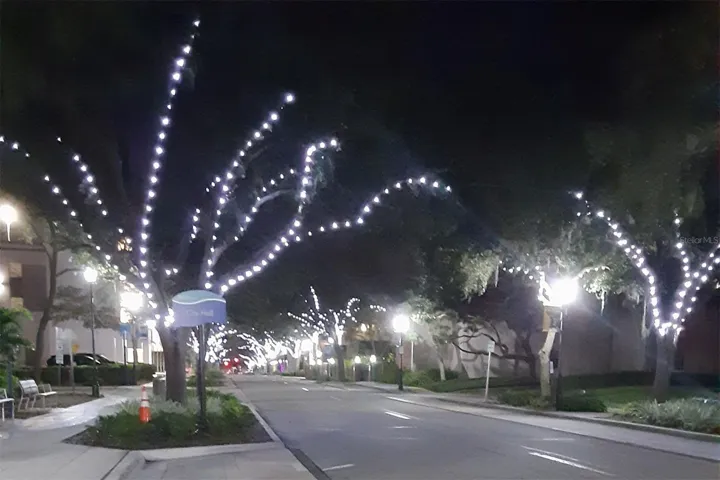 Walk-a-bout downtown