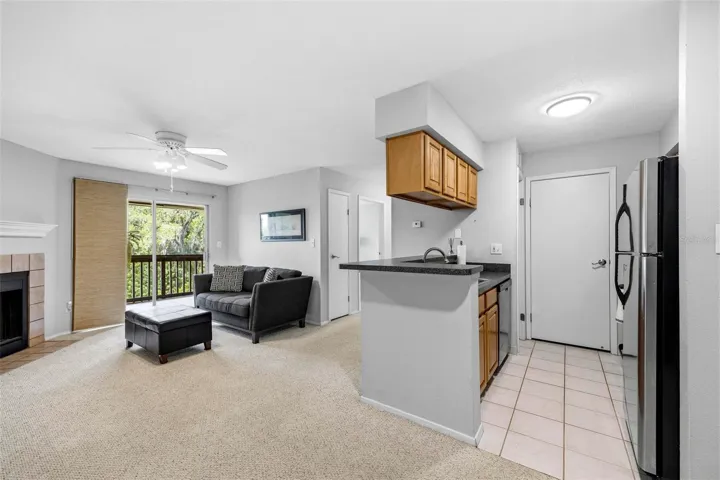Living Room and Kitchen