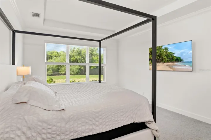 Primary Suite featuring Tray Ceiling and a great view