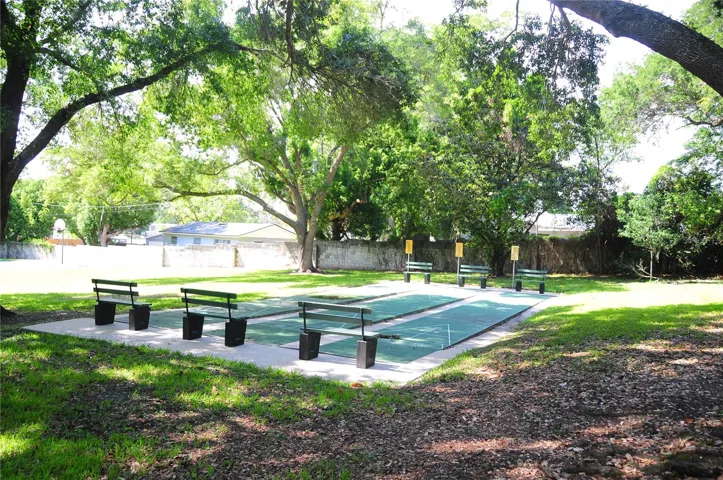 Shuffleboard