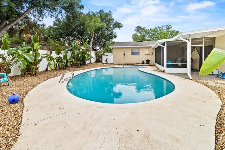 Back yard and pool