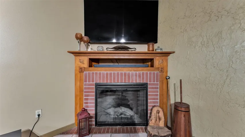 Electric insert fireplace!