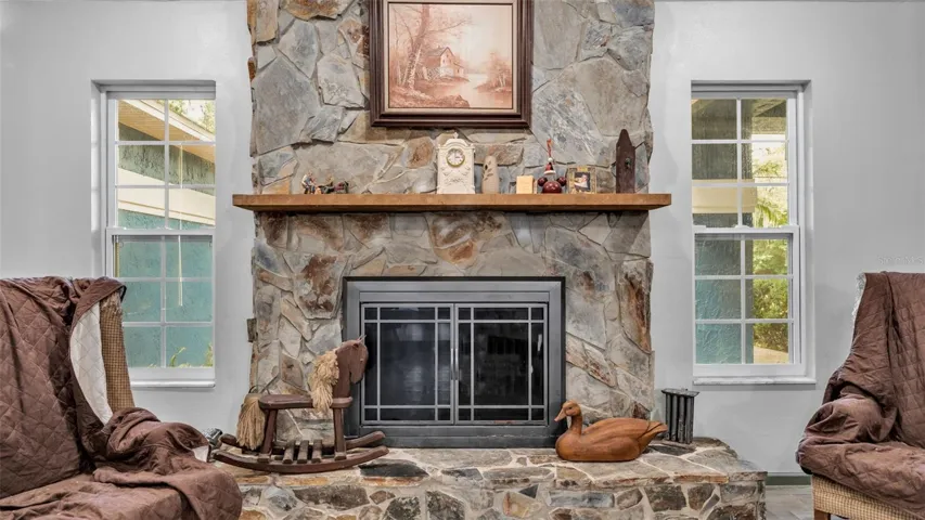 Wood burning fireplace