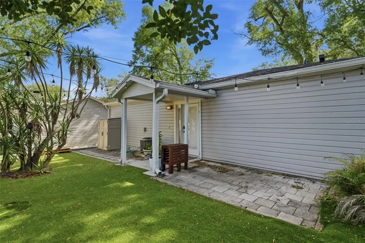 Evergreen Front Yard