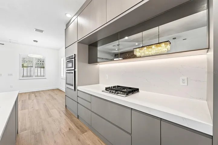 Open Modern Kitchen