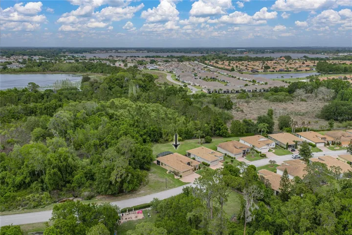 Drone view of property