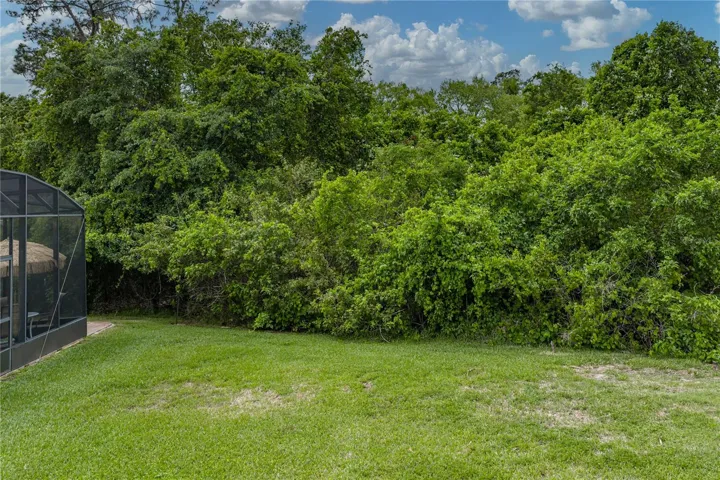Side & back of the property