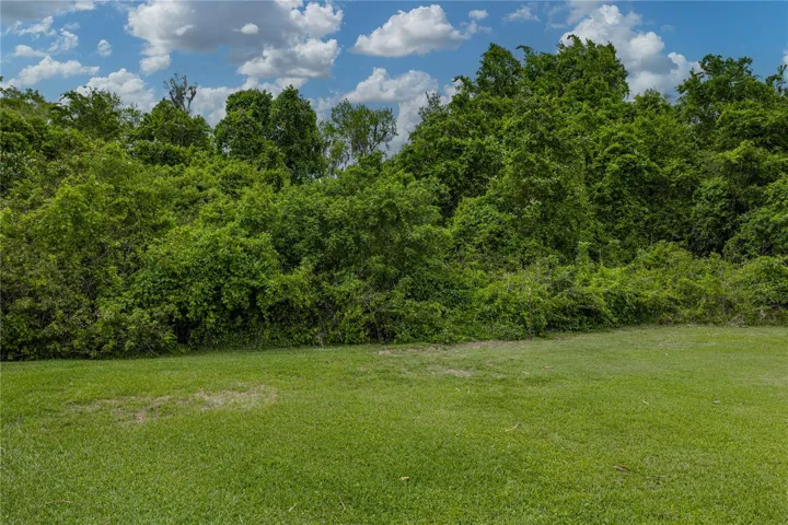 Side & back of the property