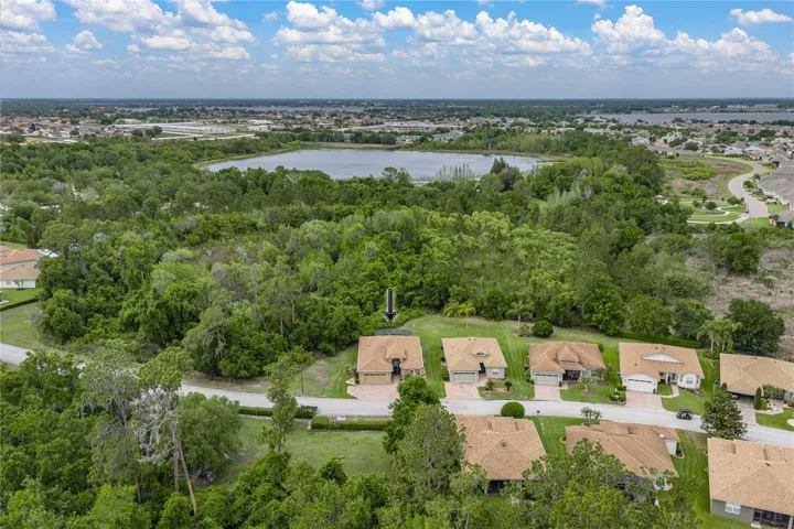 Drone view of property