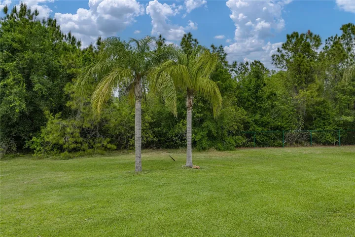 Side & back of the property