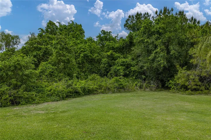 Side & back of the property