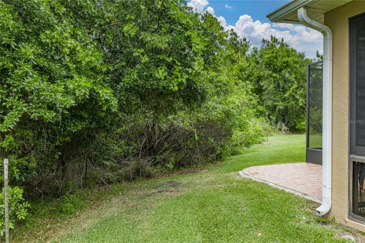 Side & back of the property