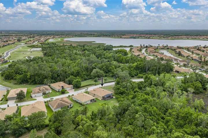 Drone view of neighborhood