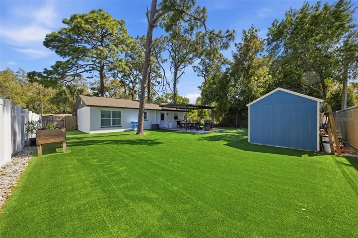 Backyard