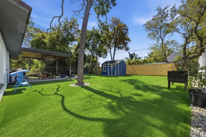 Backyard