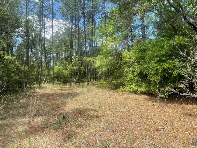 Interior view of the subject lot
