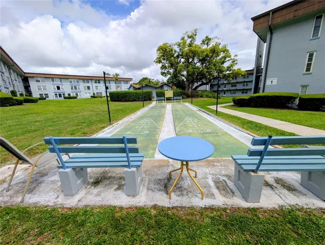 Community Shuffle Board