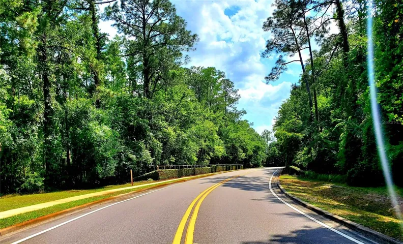 SCENIC NEIGHBORHOOD ENTRANCE