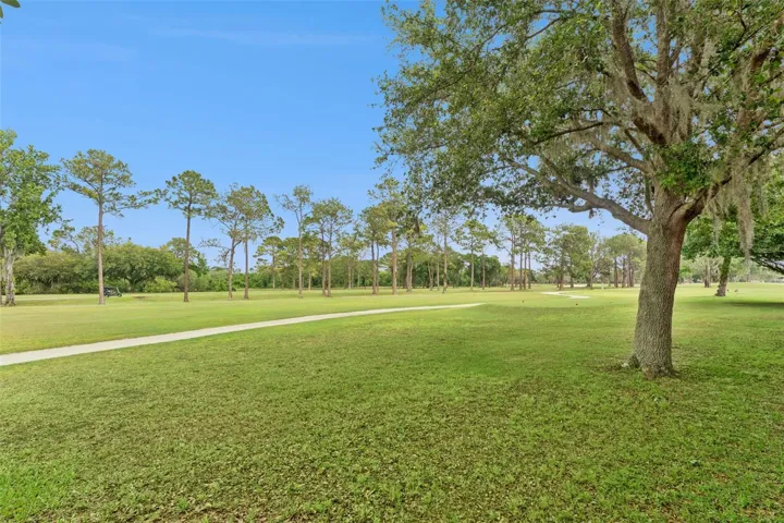 Golf course view