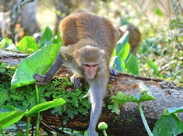 Home of a variety of wildlife!