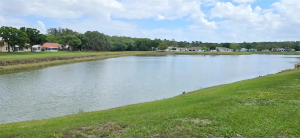 Pond