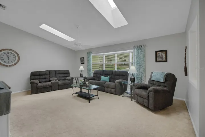 LIVING ROOM WITH 2 SKYLIGHTS