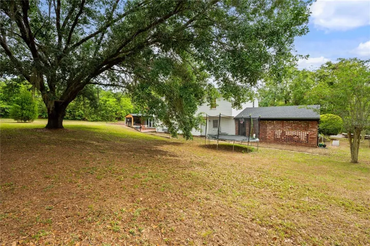 back yard