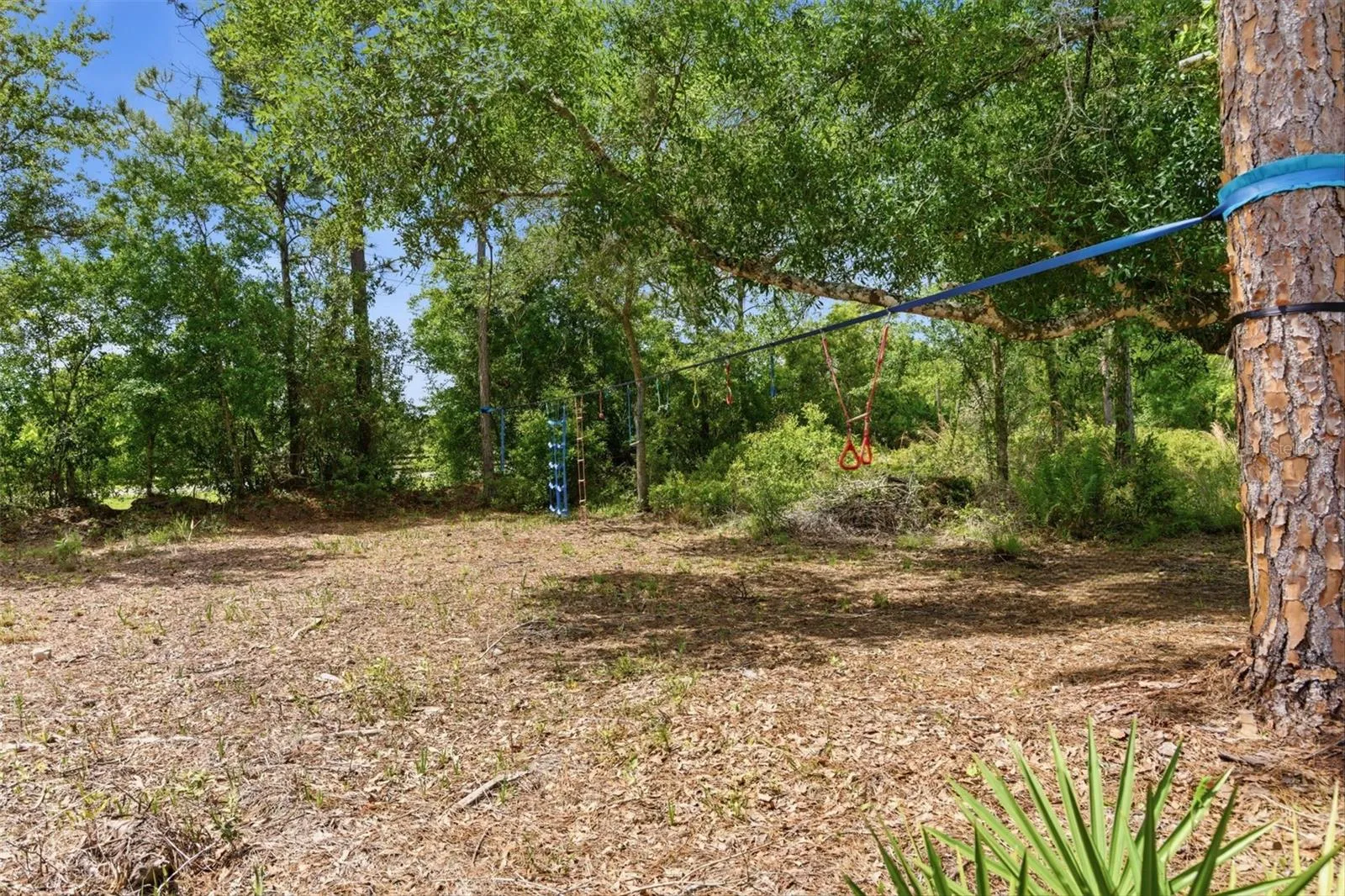 Play Area
