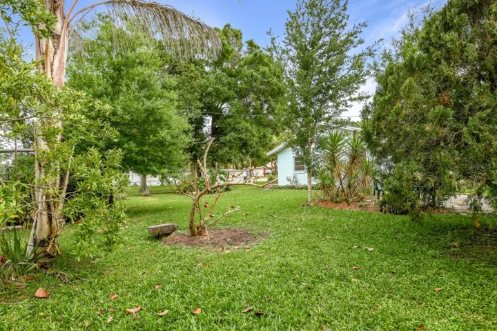 Back of the house