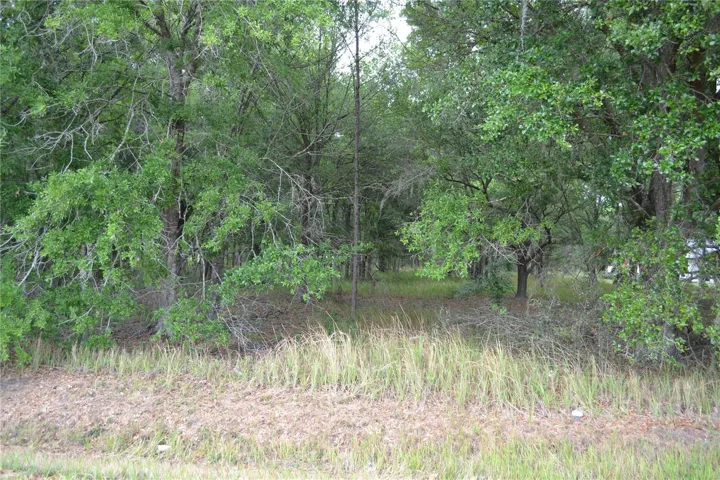 2.28 acres of land full of potential. Build a custom dream home with room to truly spread out and design every detail your way.