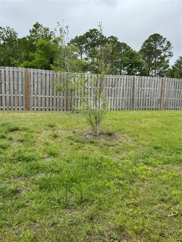 Back yard area