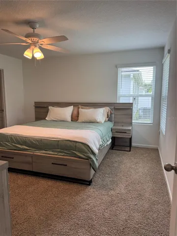 Master bedroom with ceiling fan