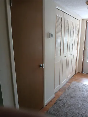 Closet door houses the water heater with 2 shelves above.
