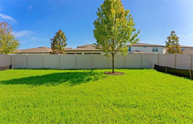 Spacious Backyard
