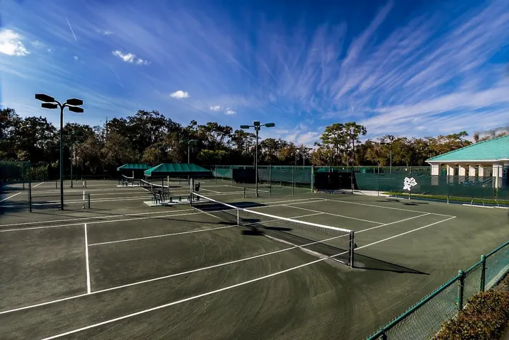 Tennis anyone?