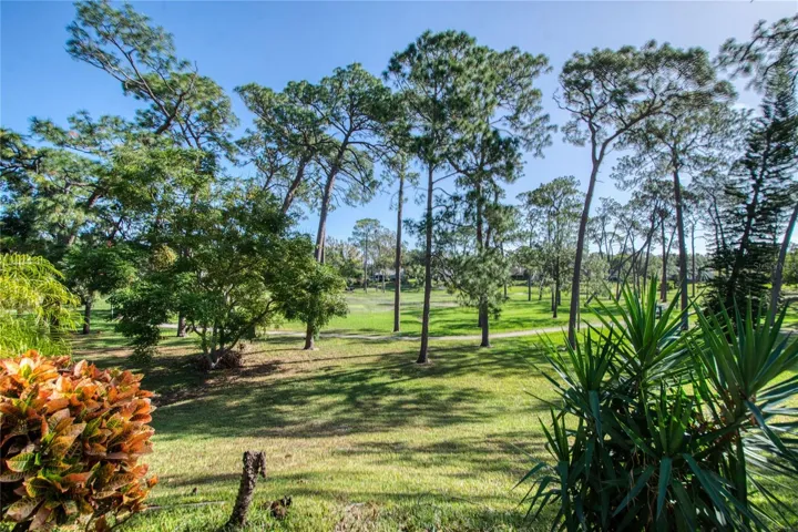 Park view in the back yard.