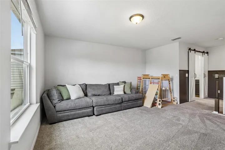 Bonus/Loft Area